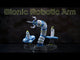 Bionic Robotic Arm