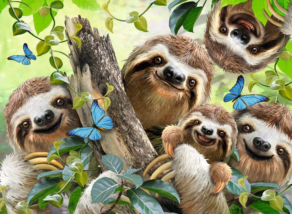 Sloth Selfie (500 pc Puzzle)